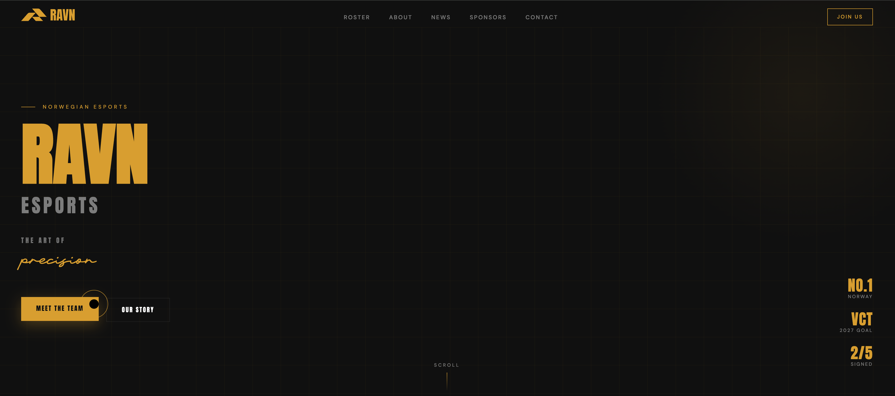 RAVN Esport web design